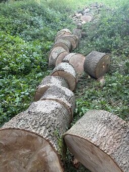 Palivové Dřevo Jasan