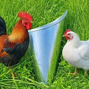 Porážecí odkrvovací trychtýř pro slepice a brojlery