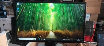 Dell P2217H