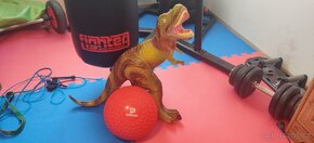 Tyrannosaurus T rex - 58 cm v top stavu. TOP cena - 1
