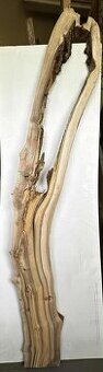 Atypické fošny na epoxid ořech - 250cm a více