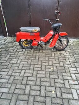 Jawa - Pionýr