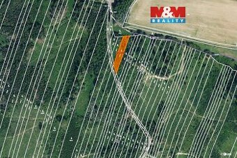 Prodej lesa, 6647 m², Nová Hradečná