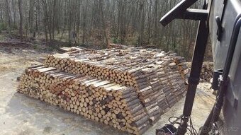 Palivové dřevo – akce jen tuto sezónu