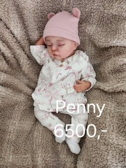 Reborn Penny