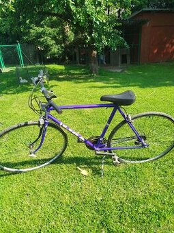 Kolo Favoritka