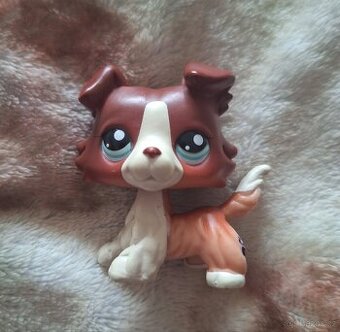 Lps kolie