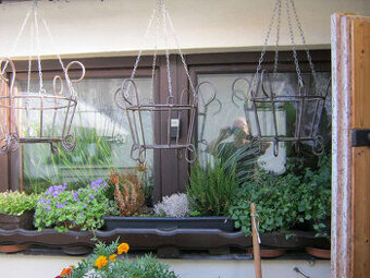 zavěsne květinače,kytky,rostliny - 1