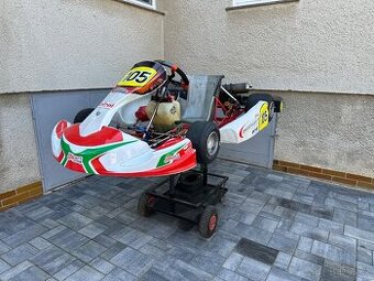 Birel Easykart 100 motokára
