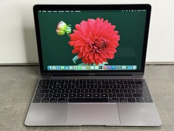 Macbook 12'' 2015 / 8GB / 256GB SSD / Space Gray - DPH