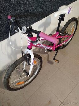 Prodám dětské kolo Arcore 20"