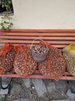 Prodám letošní vlašské orechy