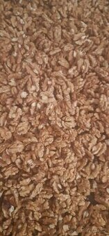 Vlašské vyloupané ořechy