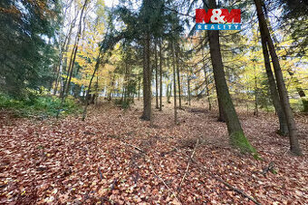 Prodej lesa, 6855 m², Jestřebí