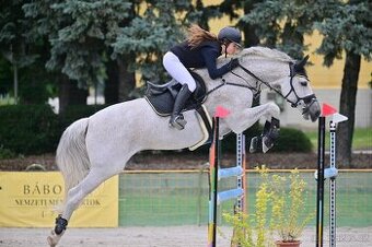 Top zkušený profesionál