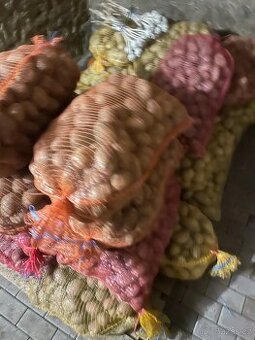 Brambory na uskladnění