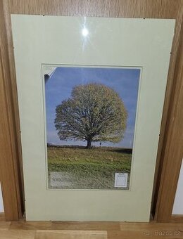 Rámečky na obrazy/fotky 62 x 93