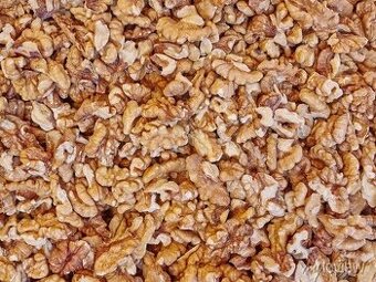 Loupané vlašské ořechy 2025