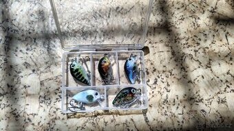 🎣 Sada 5 mini woblerů – pro lov dravců.