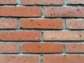 Rubové cihlové obkladové pásky typ D1