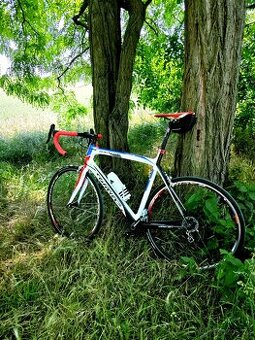 Silniční kolo Wilier