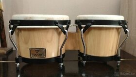 Prodám bongo Tycoon STB-BN - 1
