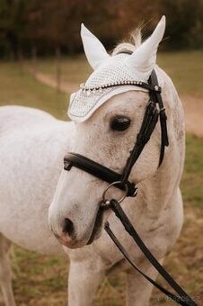 Nádherný pony na predaj