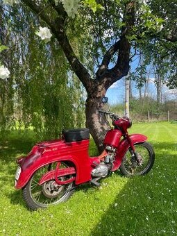 jawa 555 pařez
