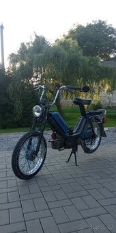 Babeta 210