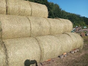 Prodám seno