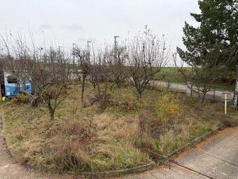 Daruji dřevo za pokácení - jabloně