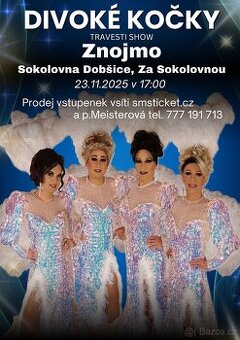 Divoké kočky travesti show