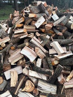 Palivové dřevo tvrdé