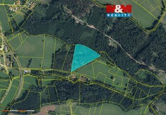 Prodej lesa, 15253 m², Libuň