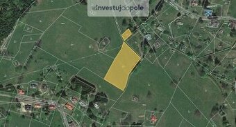Prodej louky v k.ú. Desná III