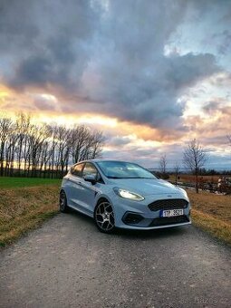 Fiesta ST Mk8 Performance - 1