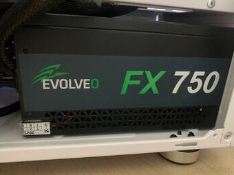 EVOLVEO FX 750 W