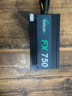 EVOLVEO FX 750 W