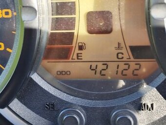 Suzuki DL v strom