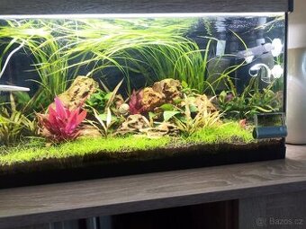 Akvarium