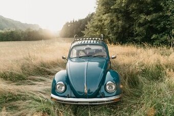 VW Brouk