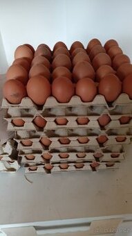 Domácí vejce z volného chovu