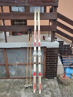 Retro běžky ARTIS Polar 692