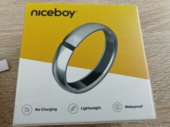 Niceboy prsten Titanium silver - 1