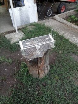 Sklopec na potkany - 1