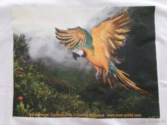 Nové triko s papouškem ara ararauna.