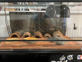 Terárium - vybavené + gekončík noční 2ks