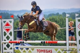 Pony B do sportu - 1