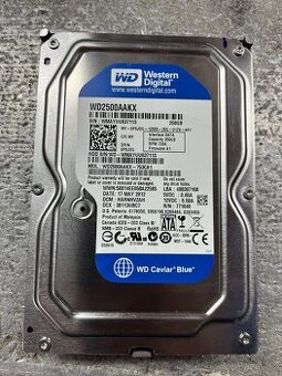 SATA Disk 250GB