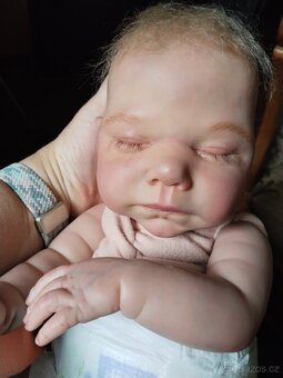 Reborn holcicka